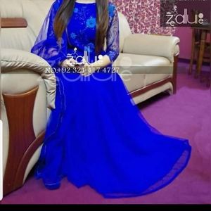 Pakistani / Indian  Long gown